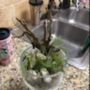 Meet your Posher, Tracy